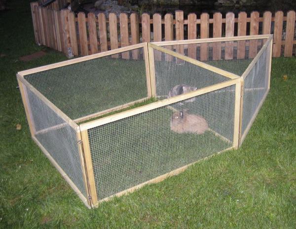 Kerbl Freilaufgehege Vario - Auslauf geeignet für Nager wie Meerschweinchen, Zwergkaninchen